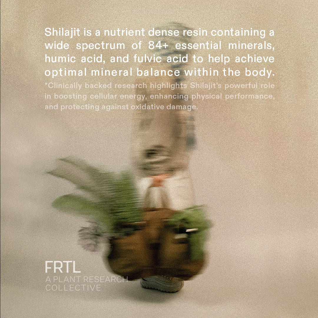 Himalayan Shilajit Drops