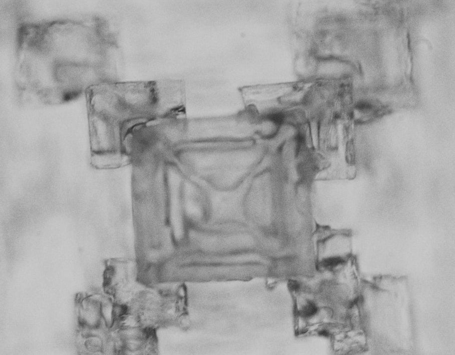 Mineral Intelligence: What Bioactive Trace Minerals Really Do