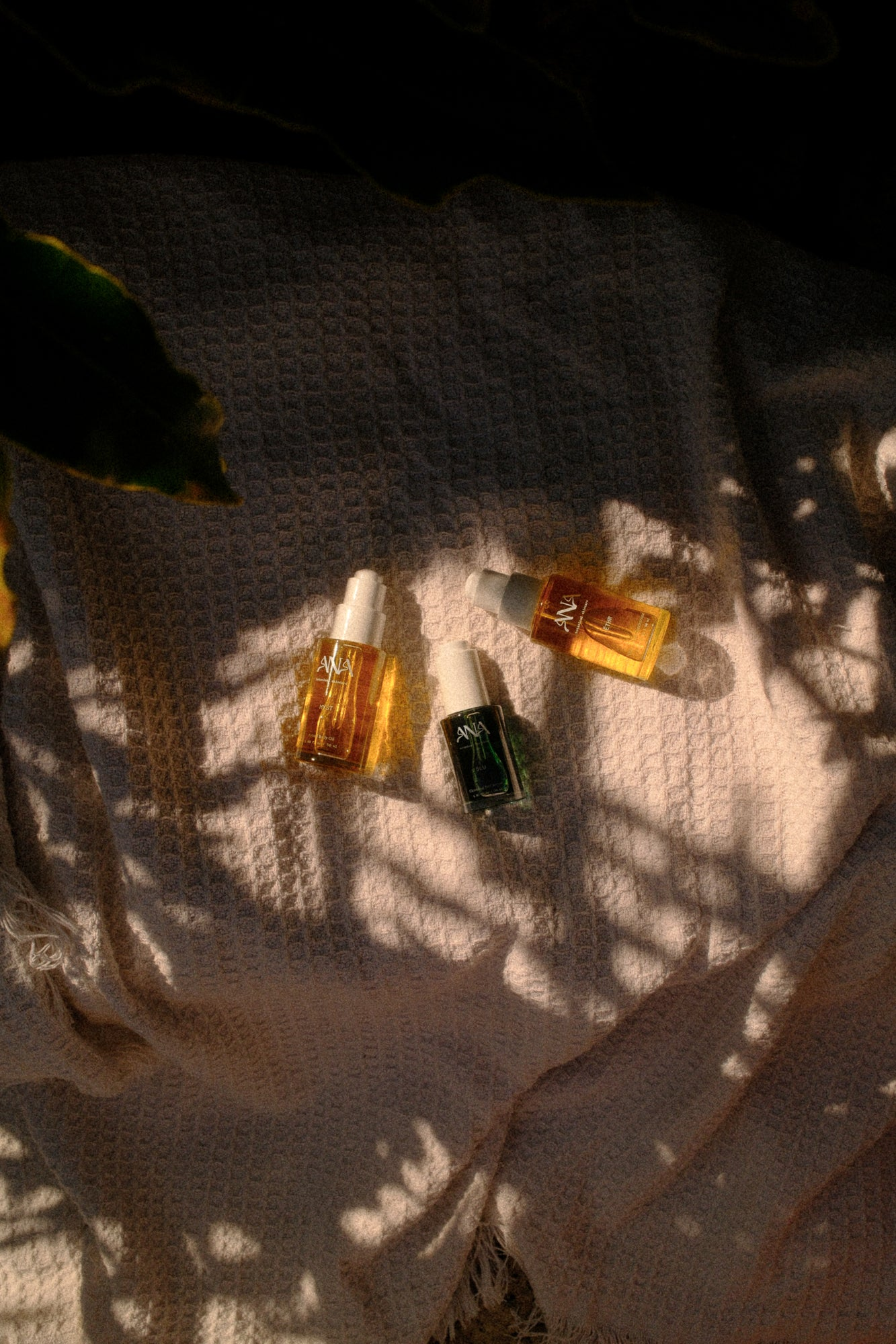 Holistic Skincare - Fractal Forest